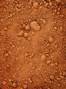 clay-224x300 All About Clay