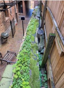 engineers-300x206 Blog