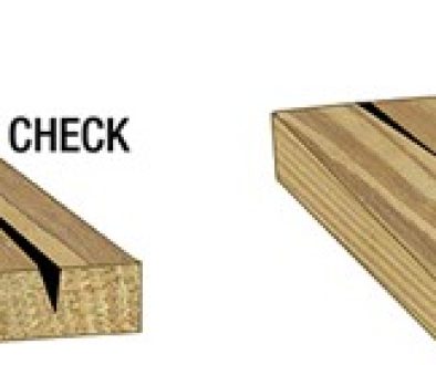 “Check” This Out!