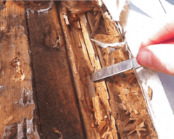 pavement-101-picture Resources