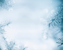 pavement-101-picture Resources